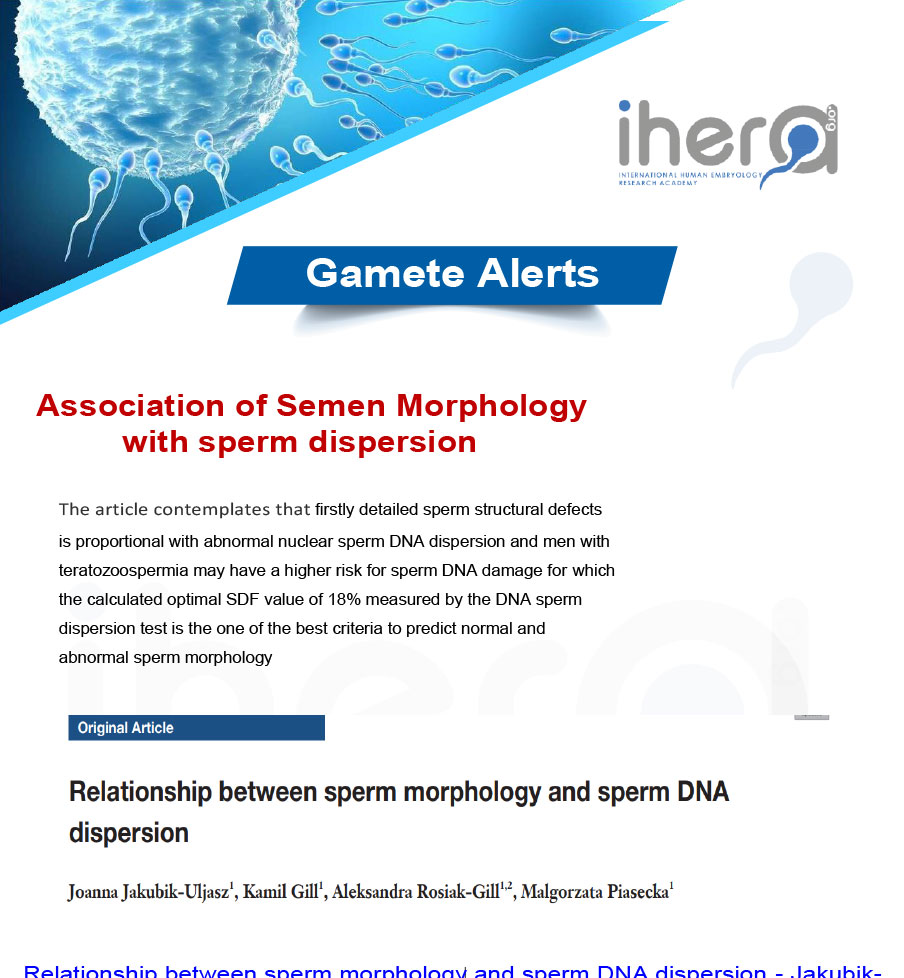 Study on the relationship between sperm morphology and sperm DNA dispersion.