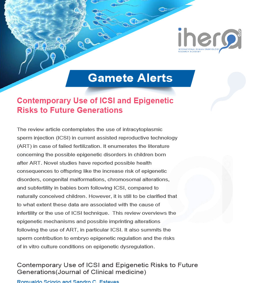 Review article discussing the use of ICSI in assisted reproductive technology and its potential epigenetic risks to offspring.