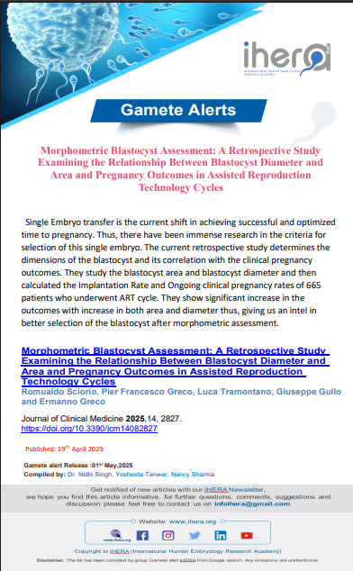 A "Gamete Alert" newsletter discussing a study on the relationship between blastocyst diameter, area, and pregnancy outcomes in ART cycles. The article includes the study's findings and references the publication in Journal of Clinical Medicine.